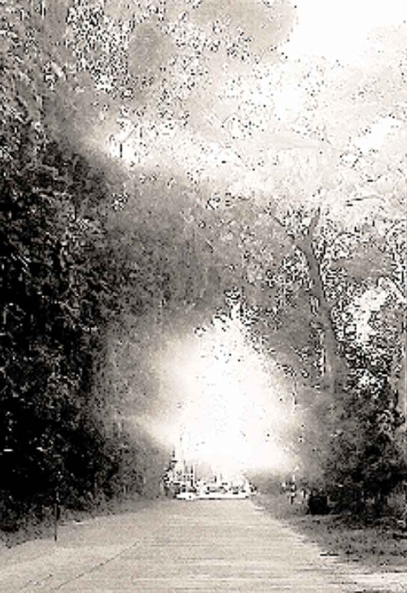 ซอมบี้เป็นพี่เลี้ยงyaoi(3p)