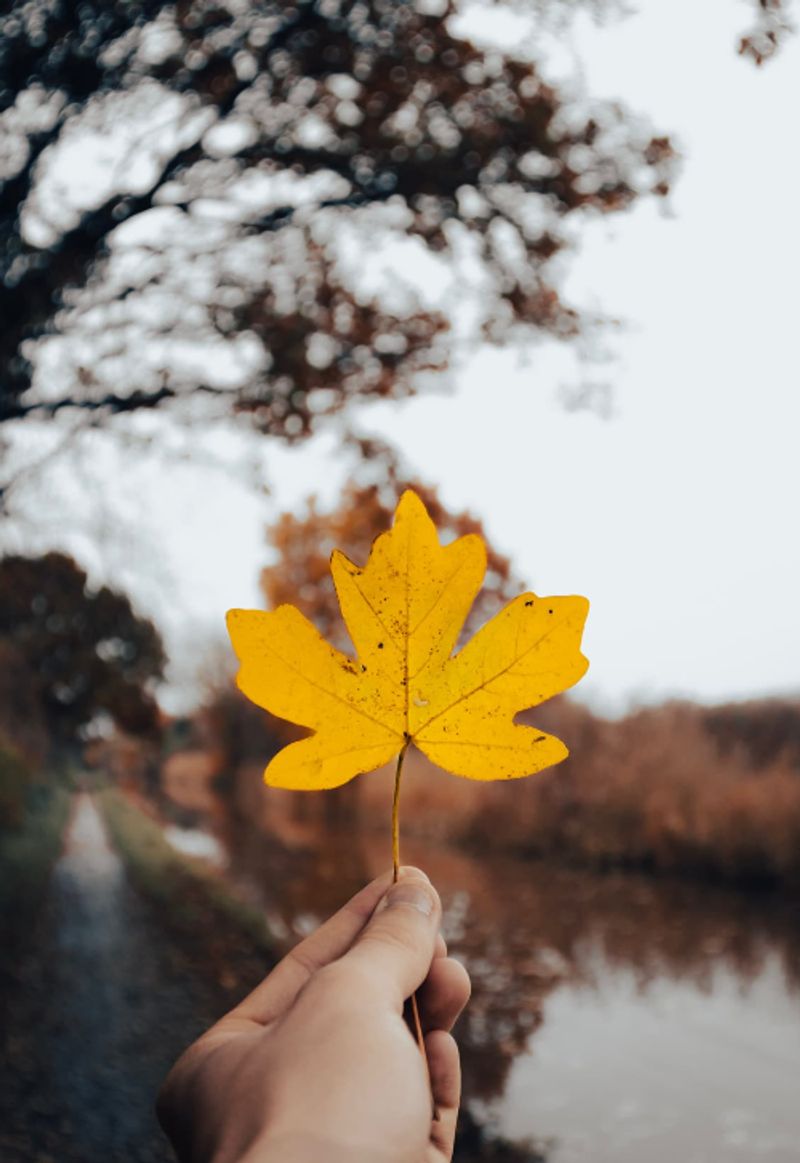 กี่ฤดูใบไม้ผลิก็ยังรักเธอ