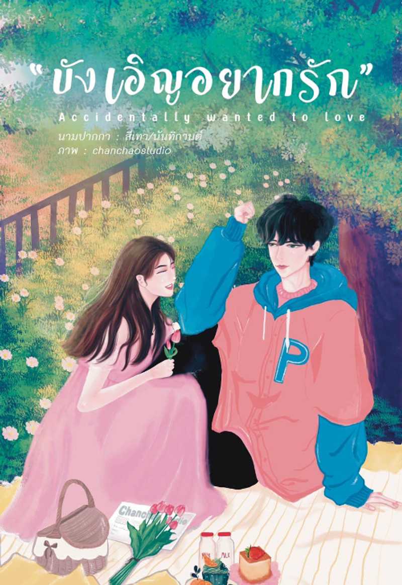บังเอิญอยากรัก