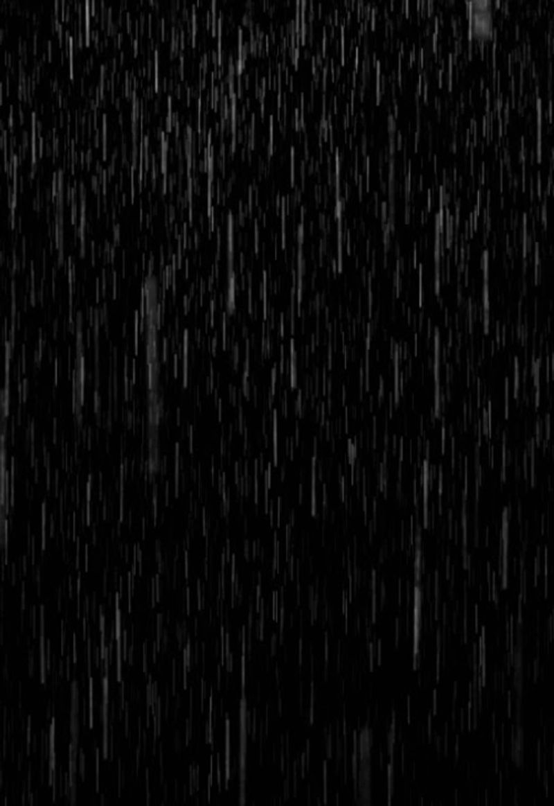 มะลิลาร่วงโรย