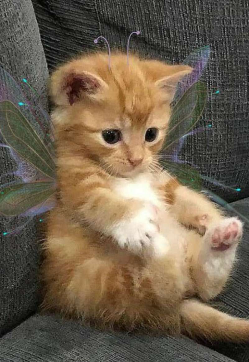 หลอกคุณมารัก