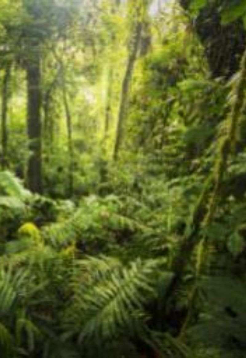 มหาศึกนครเเอตเเลนติส ภาค 2 (Ring of Ghost Atlantis Season 2)